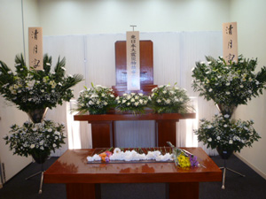 miyagino2