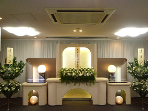 wakabayashi2