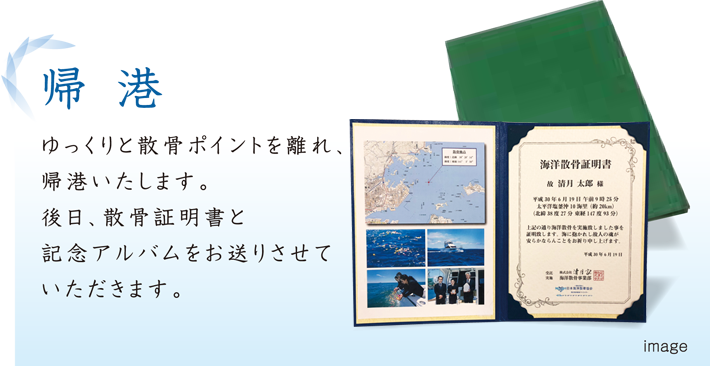 帰港